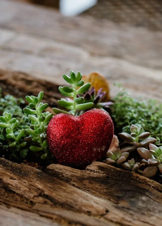 Fresa con forma de corazón sobre un tronco
