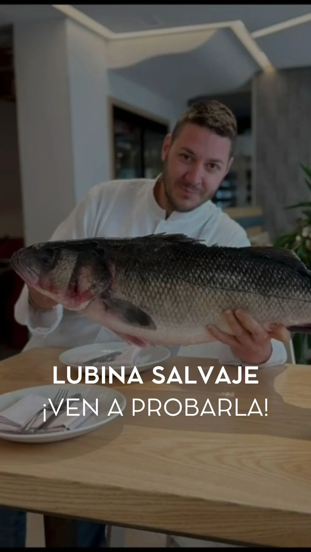 Cocinero de Ogrelo con una lubina salvaje