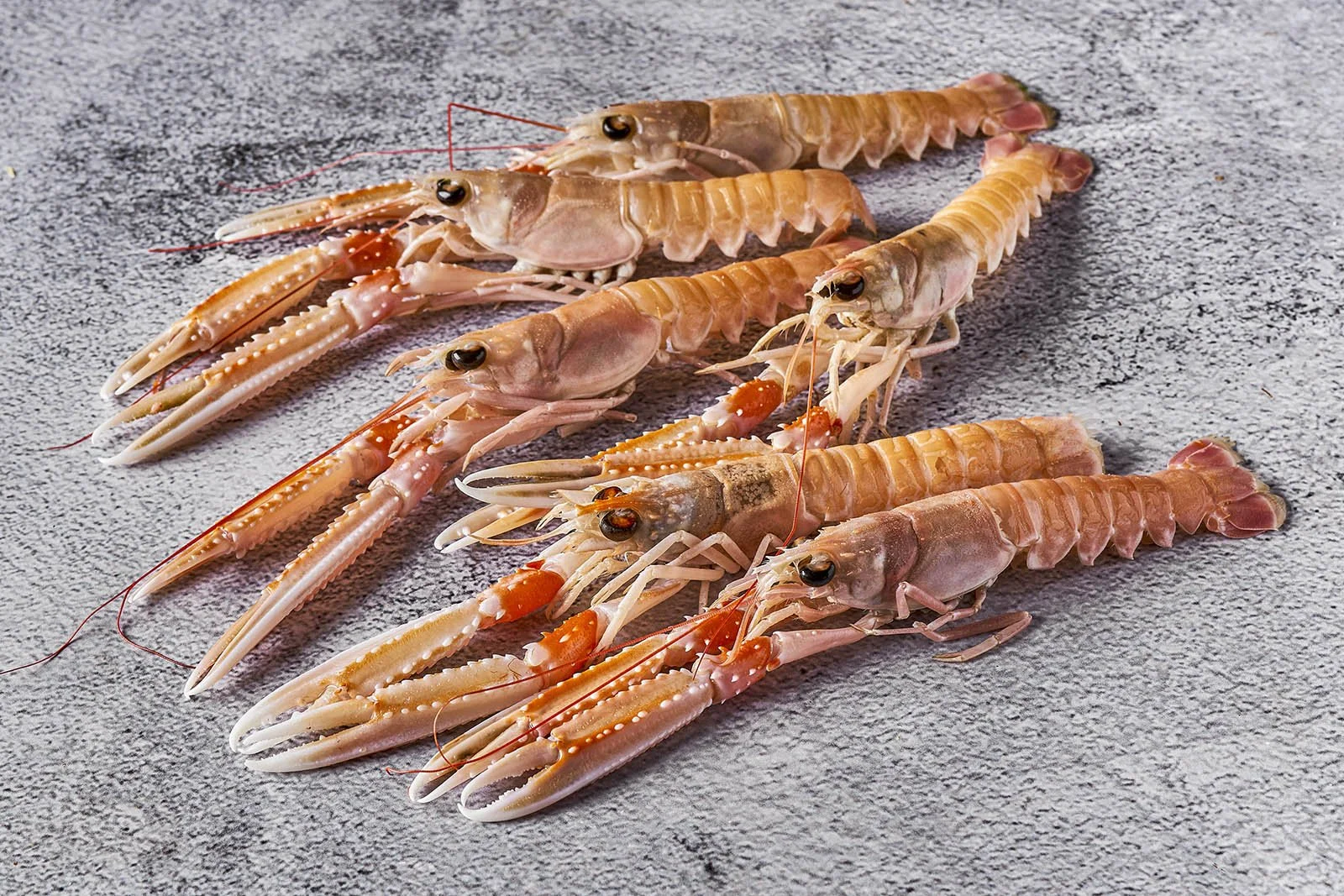 Fried Baby Langoustines at Ogrelo