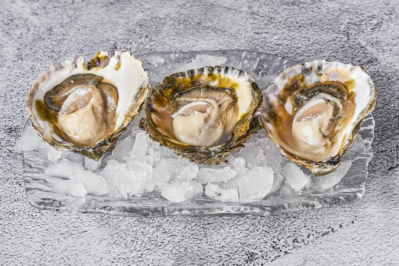 Superking Oyster at Ogrelo