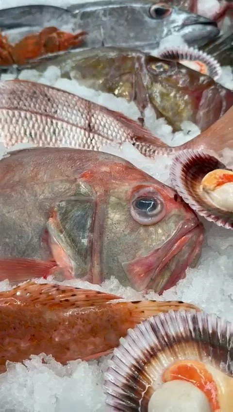 Pescado fresco y vieira sobre hielo