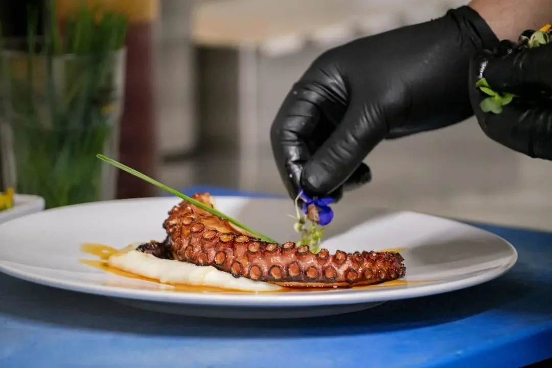 Chef emplatando pulpo con guantes negros