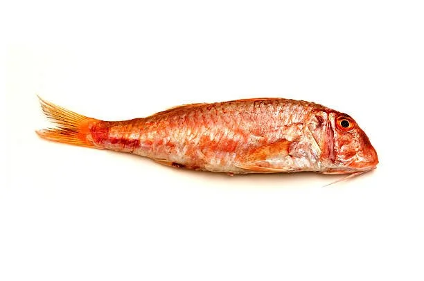 Salmonete