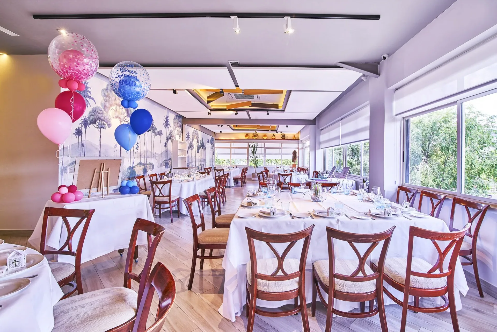 Room set up for a celebration with pink and blue balloons