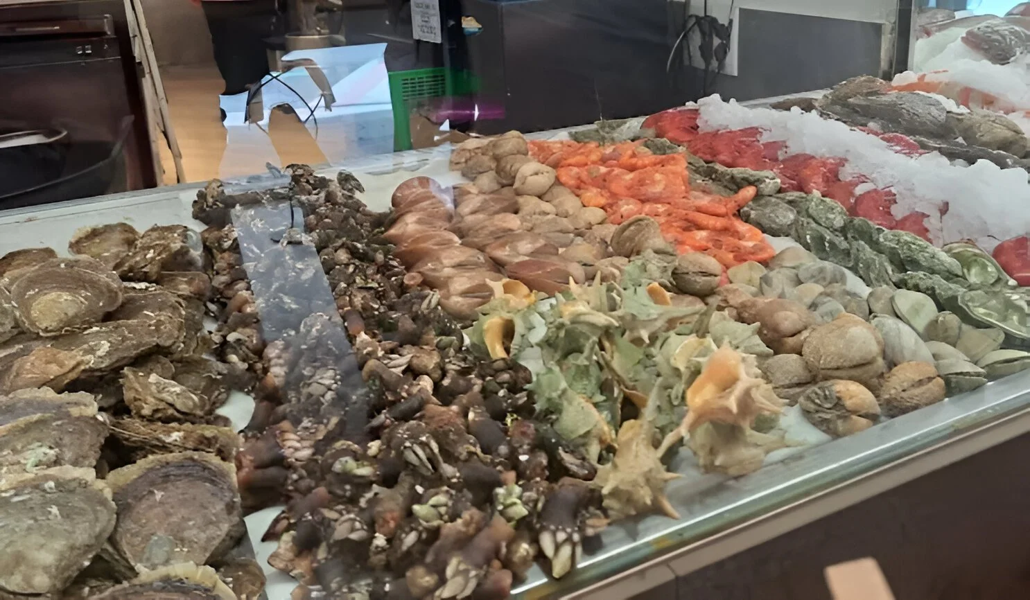 Vitrina con bivalvos y mariscos variados
